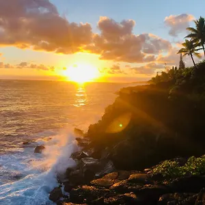 Wild Blue Water , Pahoa United States